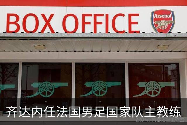 齐达内任法国男足国家队主教练